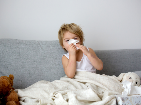 Keeping Winter Germs Away, Even with Toddlers! image