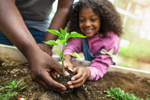 Gardening with Children: Getting Started image