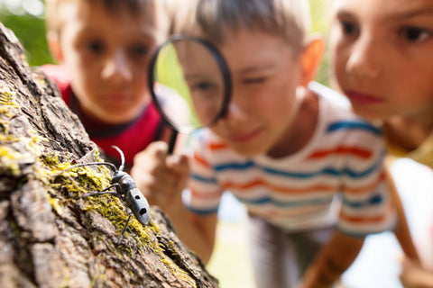 A Child’s Bug Phobia: Parents, You’re Not Alone image