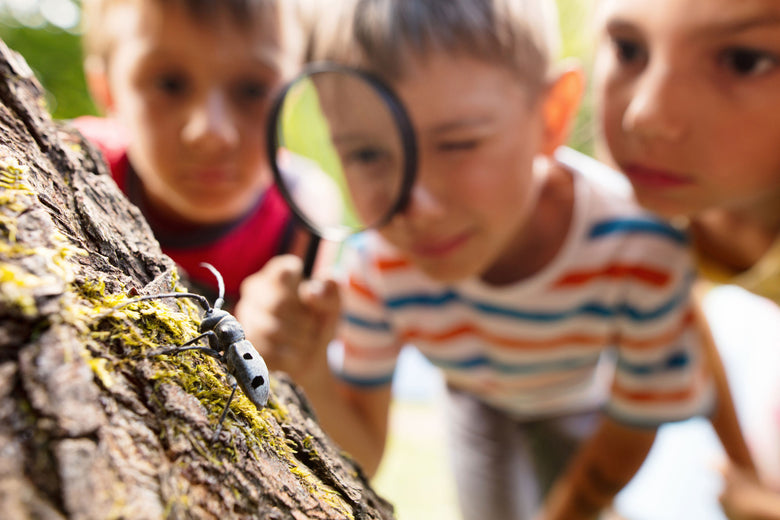 A Child’s Bug Phobia: Parents, You’re Not Alone