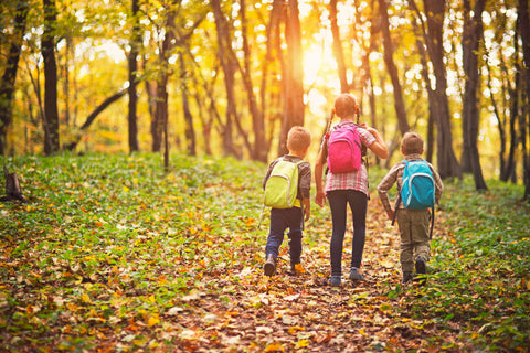 10 Easy Activities for Outdoor Fall Fun image