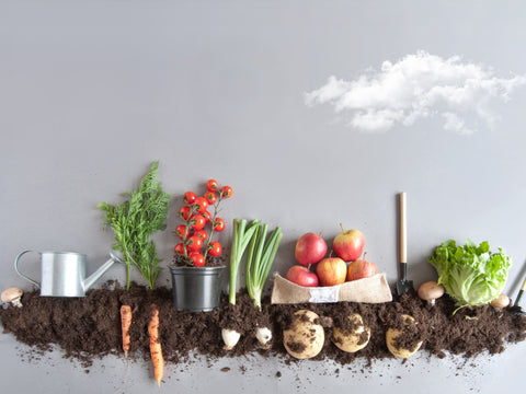 Cure Picky Eating with a Vegetable Garden image