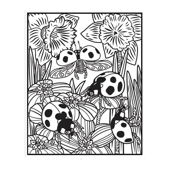 Bugs: Magic Painting Book
