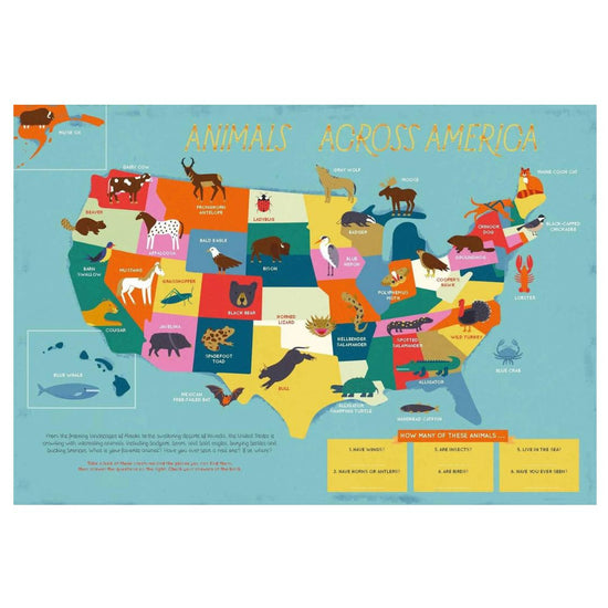 The 50 States: Activity Book