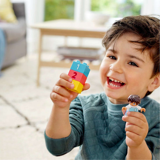Duplo Brick Box (65 pieces)