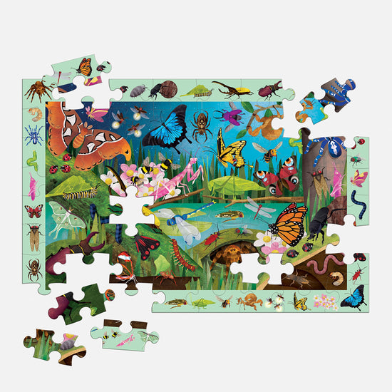 Bugs and Butterflies Search and Find Puzzle