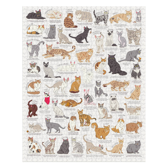 Cat Lover's 1000-Piece Jigsaw Puzzle