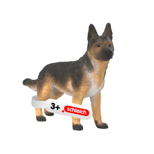 German Shepherd Female
