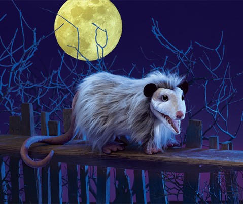 Opossum Puppet