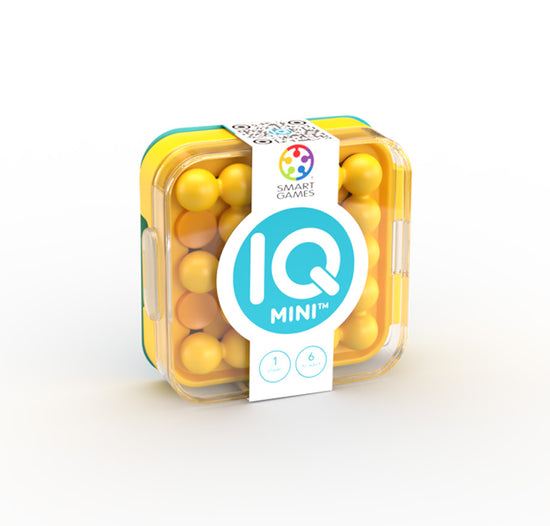 IQ Mini Puzzle