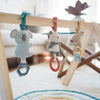 Bitzy Bespoke Rainbow Ritzy Activity Gym Wooden Gym
