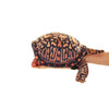 Box Turtle Puppet