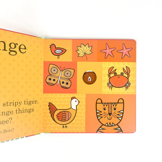 Jane Foster's Brown Bear Color Book