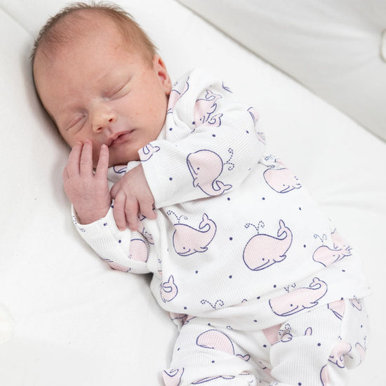 Pink Bubbly Whale Take-Me-Home Set