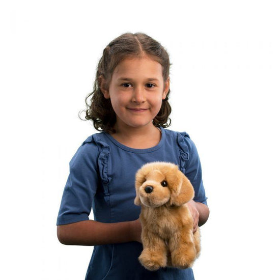 Chap Golden Retriever