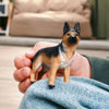 German Shepherd Female