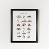 National Parks Art Print