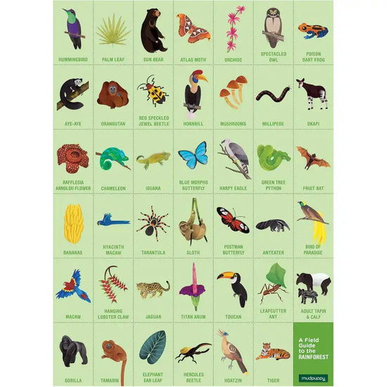 Rainforest Search and Find Puzzle