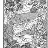 Sharks: Magic Painting Book