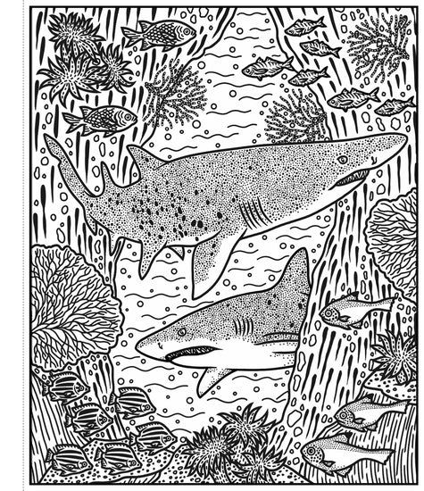 Sharks: Magic Painting Book