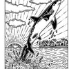 Sharks: Magic Painting Book