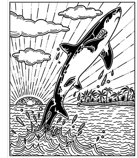 Sharks: Magic Painting Book