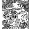 Sharks: Magic Painting Book
