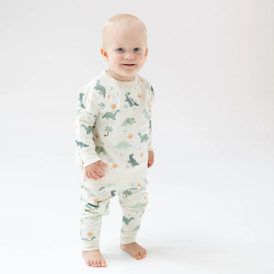 Soft Dinos Sweatshirt & Jogger Set