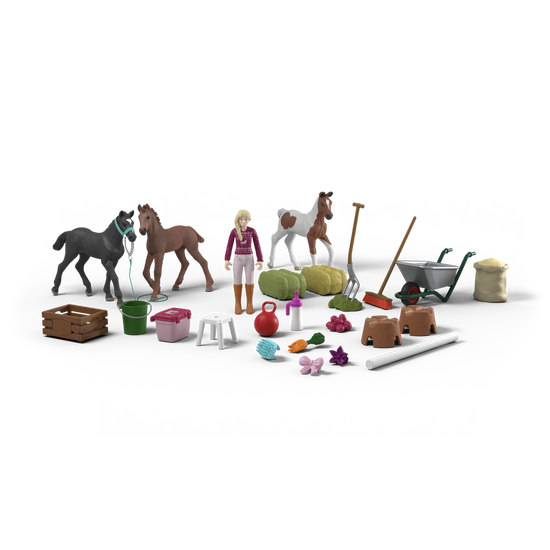 Horse Club Advent Calendar