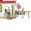 Veterinarian Practice with Pets