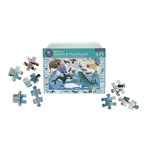 Arctic Life Search & Find Puzzle