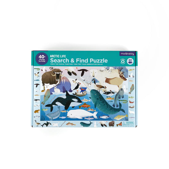 Arctic Life Search & Find Puzzle