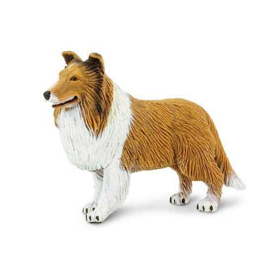 Collie Figure