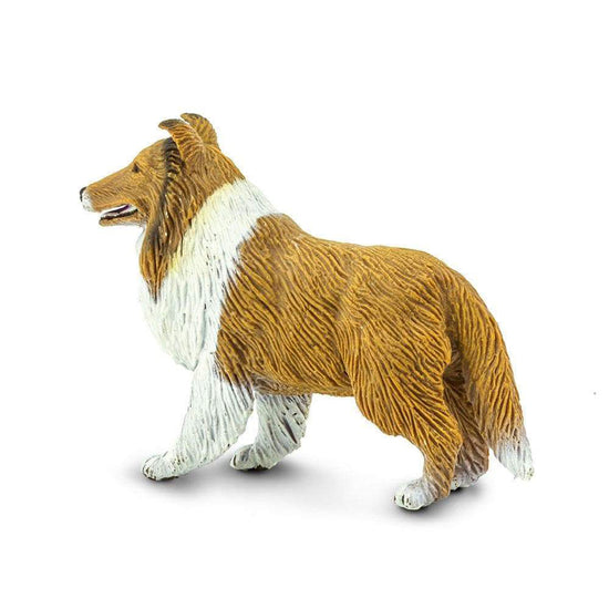 Collie Figure